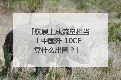 航展上成流量担当！中国歼-10CE靠什么出圈？