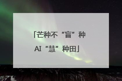 芒种不“盲”种 AI“慧”种田
