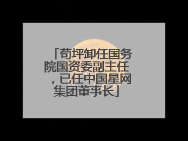 苟坪卸任国务院国资委副主任，已任中国星网集团董事长