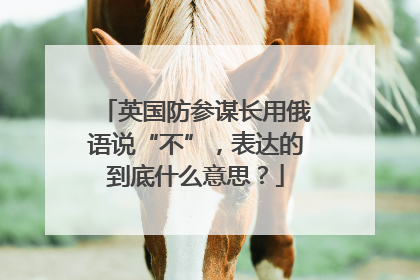 英国防参谋长用俄语说“不”，表达的到底什么意思？