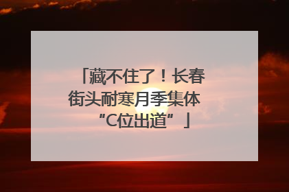藏不住了！长春街头耐寒月季集体“C位出道”