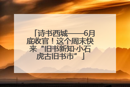 诗书西城——6月底收官！这个周末快来“旧书新知·小石虎古旧书市”