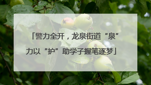 警力全开，龙泉街道“泉”力以“护”助学子握笔逐梦