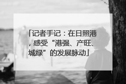 记者手记：在日照港，感受“港强、产旺、城绿”的发展脉动