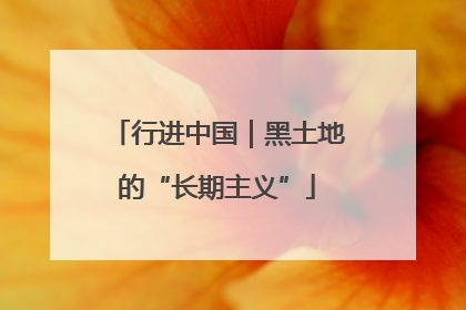 行进中国｜黑土地的“长期主义”