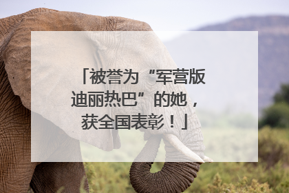 被誉为“军营版迪丽热巴”的她，获全国表彰！