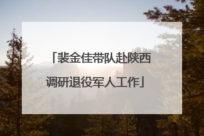 裴金佳带队赴陕西调研退役军人工作