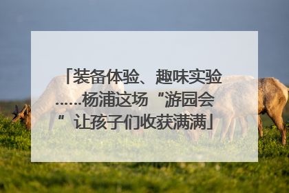 装备体验、趣味实验……杨浦这场“游园会”让孩子们收获满满