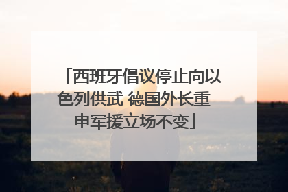 西班牙倡议停止向以色列供武 德国外长重申军援立场不变