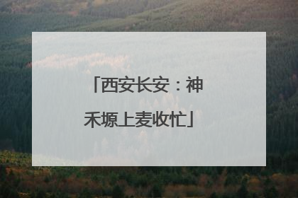 西安长安：神禾塬上麦收忙