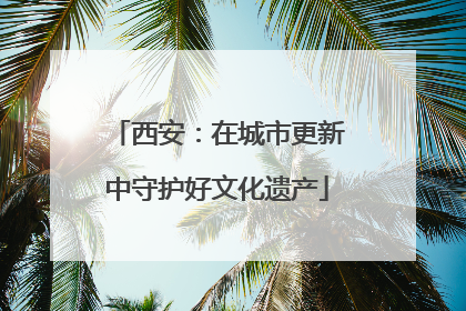 西安：在城市更新中守护好文化遗产