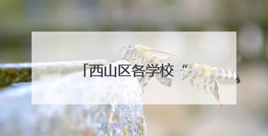 西山区各学校“六一”乐不停