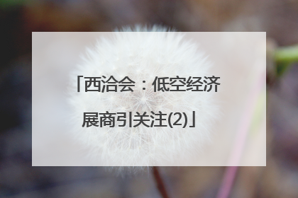 西洽会：低空经济展商引关注(2)