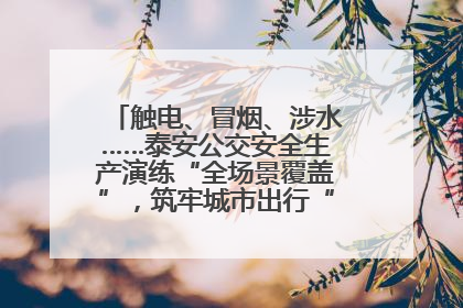 触电、冒烟、涉水……泰安公交安全生产演练“全场景覆盖”，筑牢城市出行“安全生命线”