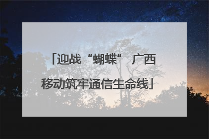 迎战“蝴蝶” 广西移动筑牢通信生命线