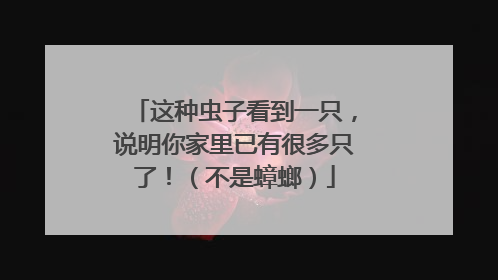 这种虫子看到一只，说明你家里已有很多只了！（不是蟑螂）