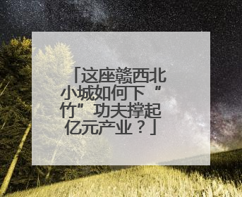 这座赣西北小城如何下“竹”功夫撑起亿元产业？