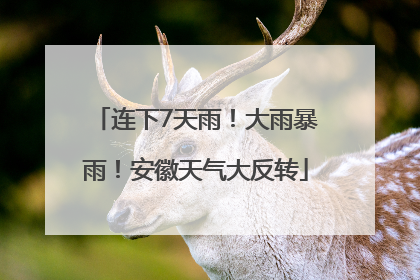 连下7天雨！大雨暴雨！安徽天气大反转