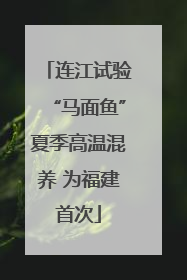 连江试验“马面鱼”夏季高温混养 为福建首次