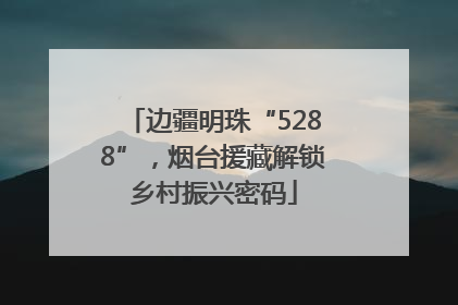 边疆明珠“5288”，烟台援藏解锁乡村振兴密码