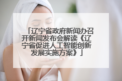 辽宁省政府新闻办召开新闻发布会解读《辽宁省促进人工智能创新发展实施方案》