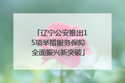 辽宁公安推出15项举措服务保障全面振兴新突破