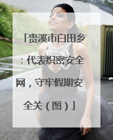 贵溪市白田乡：代表织密安全网，守牢假期安全关（图）