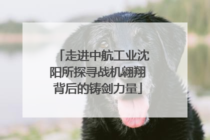 走进中航工业沈阳所探寻战机翱翔背后的铸剑力量