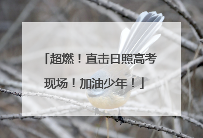 超燃！直击日照高考现场！加油少年！