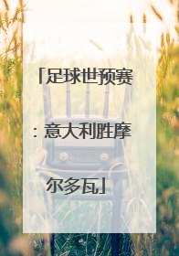 足球世预赛：意大利胜摩尔多瓦