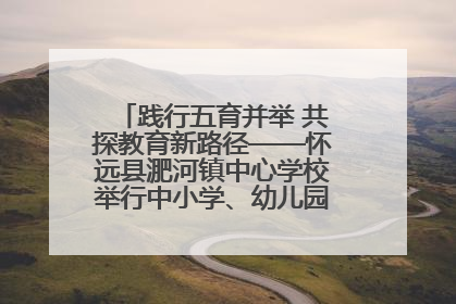 践行五育并举 共探教育新路径——怀远县淝河镇中心学校举行中小学、幼儿园班主任论坛活动