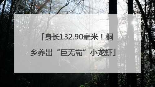 身长132.90毫米！桐乡养出“巨无霸”小龙虾