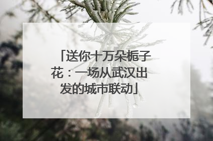 送你十万朵栀子花：一场从武汉出发的城市联动