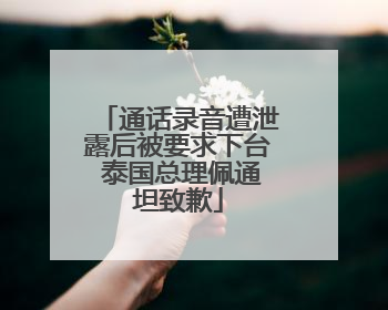 通话录音遭泄露后被要求下台 泰国总理佩通坦致歉