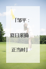 邹平：夏日采摘正当时