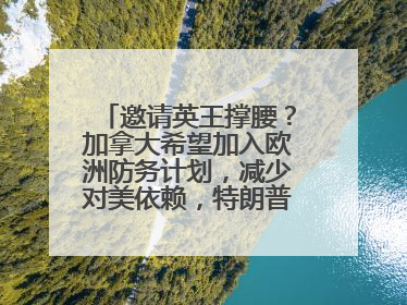邀请英王撑腰？加拿大希望加入欧洲防务计划，减少对美依赖，特朗普：成为美国第51个州，免费用“金穹”