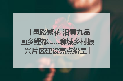 邑路繁花 沿黄九品 画乡鲤都……聊城乡村振兴片区建设亮点纷呈