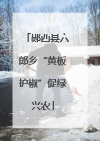 郧西县六郎乡“黄板护椒”促绿兴农