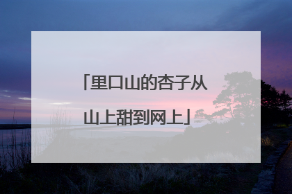 里口山的杏子从山上甜到网上