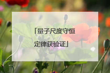 量子尺度守恒定律获验证