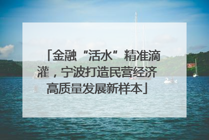 金融“活水”精准滴灌，宁波打造民营经济高质量发展新样本
