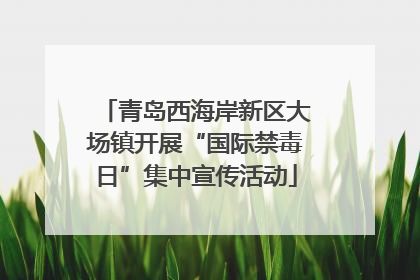 青岛西海岸新区大场镇开展“国际禁毒日”集中宣传活动