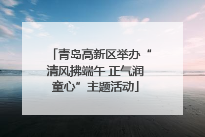 青岛高新区举办“清风拂端午 正气润童心”主题活动