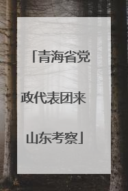青海省党政代表团来山东考察