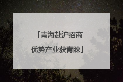青海赴沪招商 优势产业获青睐