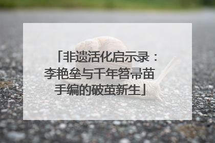 非遗活化启示录：李艳垒与千年笤帚苗手编的破茧新生