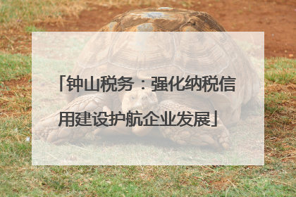 钟山税务：强化纳税信用建设护航企业发展