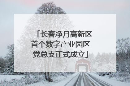 长春净月高新区首个数字产业园区党总支正式成立