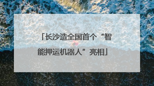 长沙造全国首个“智能押运机器人”亮相