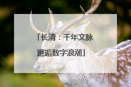 长清：千年文脉邂逅数字浪潮
